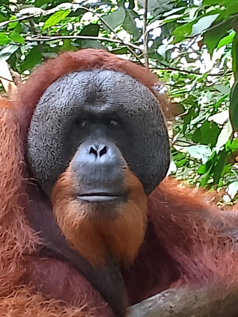 WhatsApp Image 2025-09-07 at 08.46.00