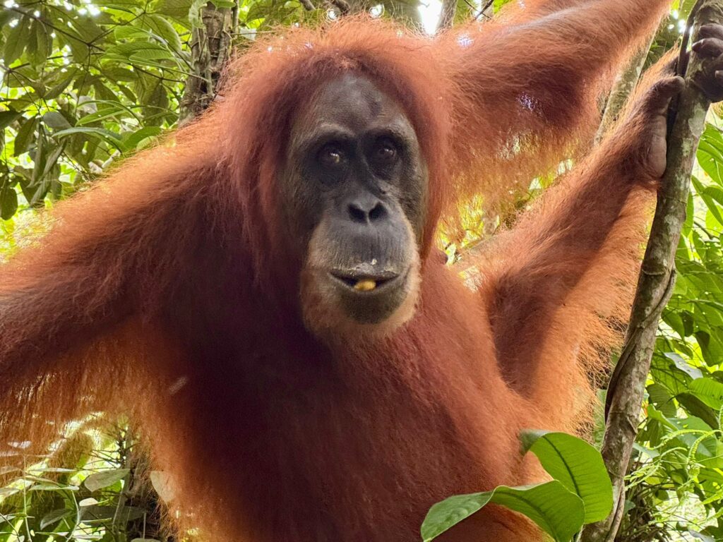 WhatsApp Image 2025-09-15 at 08.41.11 (1)