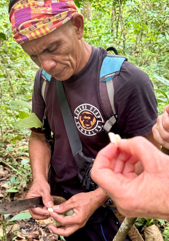 WhatsApp Image 2025-09-15 at 08.41.12 (1)