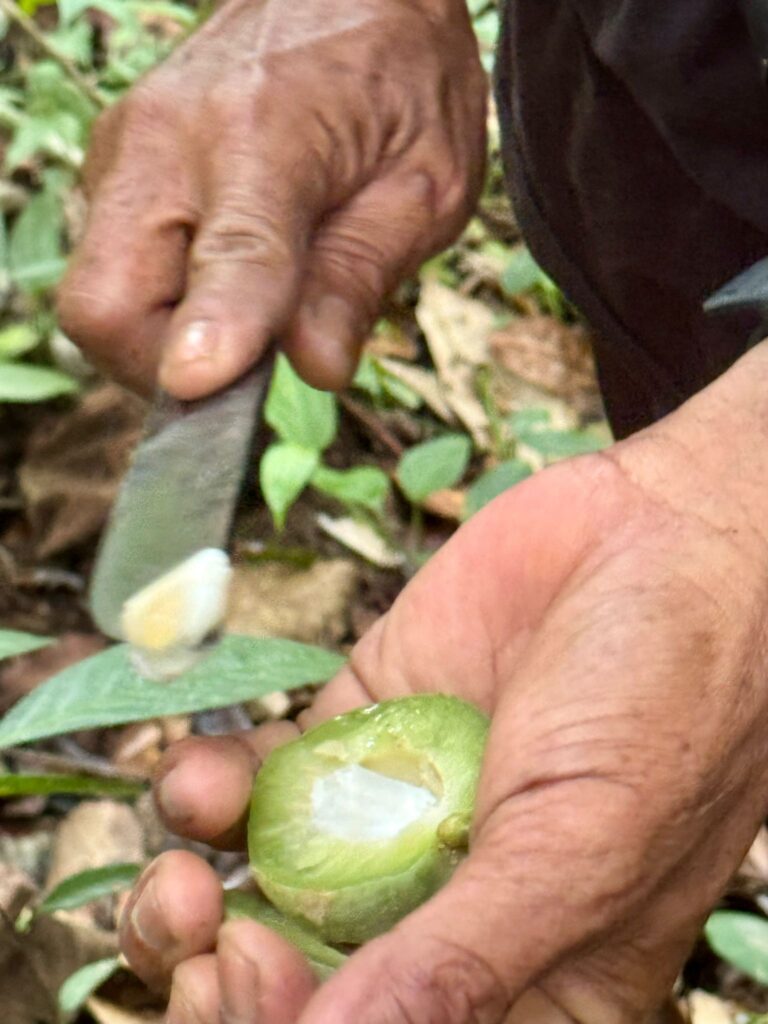 WhatsApp Image 2025-09-15 at 08.41.12