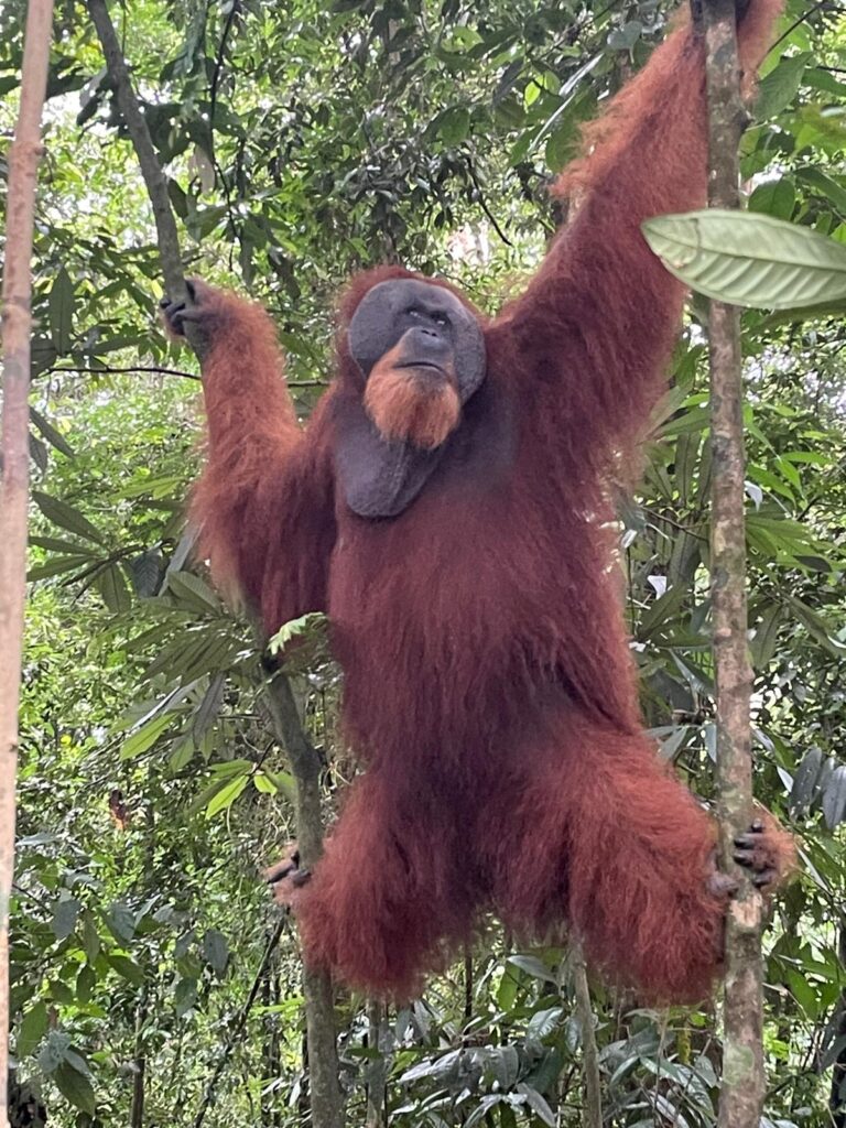 WhatsApp Image 2025-09-15 at 09.48.56