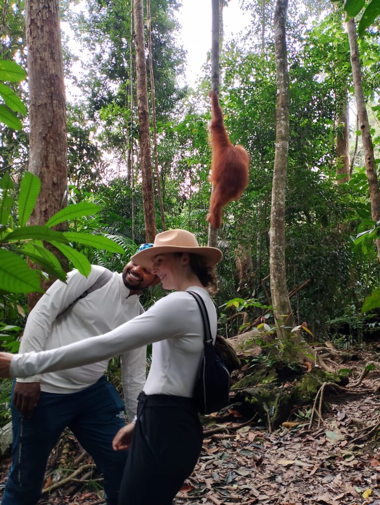 WhatsApp Image 2025-09-15 at 09.48.58 (1)