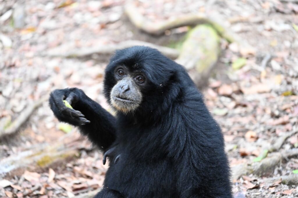 WhatsApp Image 2025-09-15 at 09.49.00 (1)